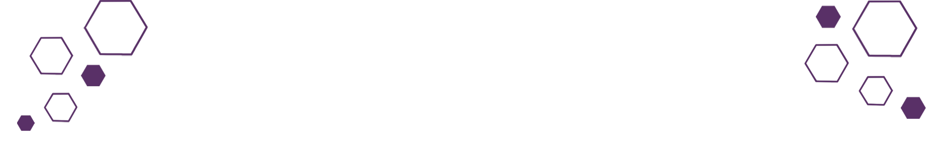 A minimalistic design with small purple honeycomb shapes scattered on the left and right sides, representing Demon Dog's structured and innovative approach.