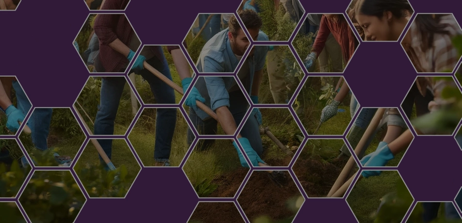 Team of people planting trees and working together in a green environment, with a purple hexagonal overlay.